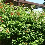 דירה Casa Al Mare