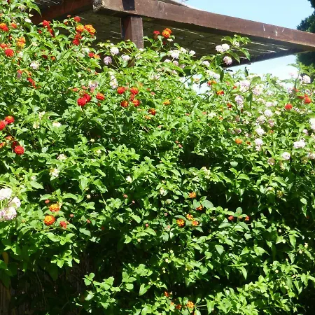 아파트 Casa Al Mare